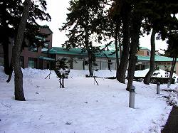 20051229kosei (9).jpg